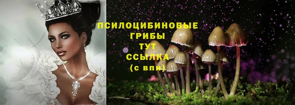 а пвп мука Саяногорск