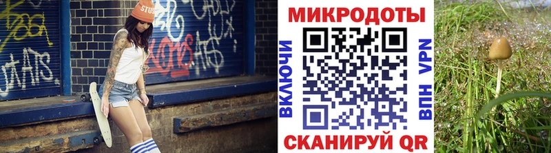 Галлюциногенные грибы мицелий  где купить наркоту  Дюртюли 